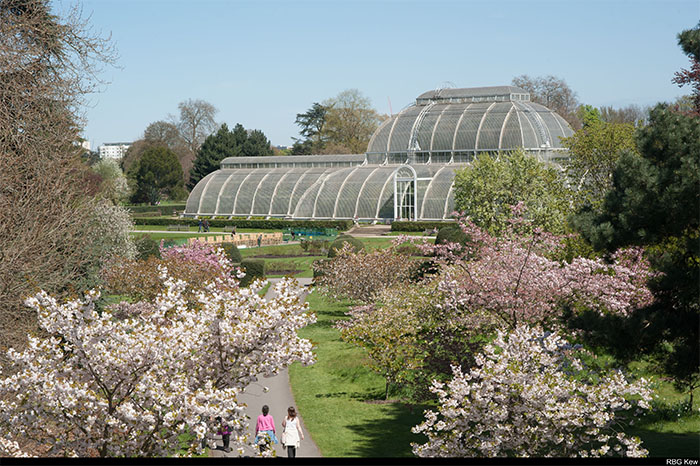 邱园(Kew Gardens)-vb.jpg